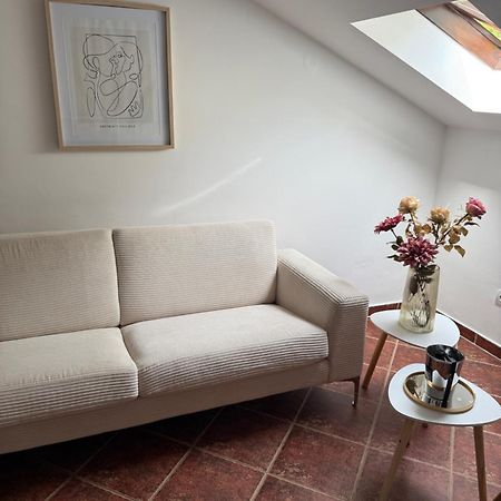 Apartment Damjan コトル エクステリア 写真